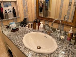 eine Badezimmertheke mit einem Waschbecken und einem Spiegel in der Unterkunft Hotel Grand Garden (Adult Only) in Yokohama