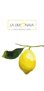 un citron suspendu à une branche d'arbre dans l'établissement La Limonaia, à Cipollina