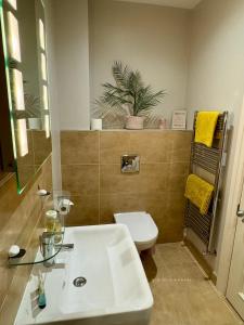 ein Badezimmer mit einem weißen Waschbecken und einem WC in der Unterkunft 3 Castle Hume Court Holiday House in Enniskillen