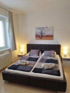 ein Schlafzimmer mit einem großen Bett mit zwei Kissen in der Unterkunft Amazing flat in old town with large balcony in Bratislava