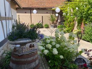 ogród z fontanną wodną i kwiatami w obiekcie Altes Grabenhöfchen w mieście Nordheim vor der Rhön