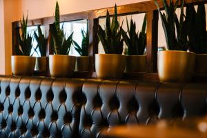 Fotografie z fotogalerie ubytování Hotel Ambassadeur v Ostende