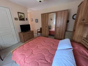 1 dormitorio con cama rosa y TV en Charmant cocon avec piscine en Vidauban