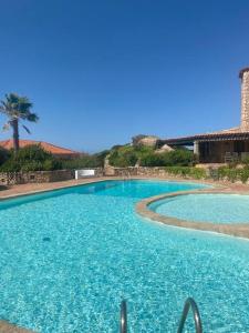 a large blue swimming pool with a palm tree in the background at Waterfront Port House in Porto Cervo