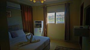 开罗Golden Grand Museum Hotel的相册照片