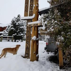 un perro parado junto a una señal en la nieve en Santos Lugares Cabañas en Junín de los Andes