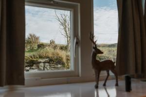 Galeriebild der Unterkunft Kilchrist Castle Cottages in Campbeltown + 141 Fotos