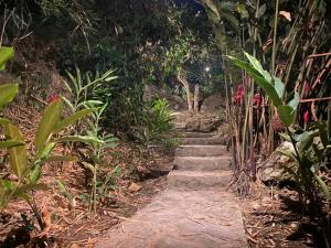 einen Steinweg in einem Garten in der Nacht in der Unterkunft Masaya Casas Viejas in Minca