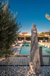 une grande statue de roche à côté d'une piscine dans l'établissement Mas des Cigales, à Eygalières