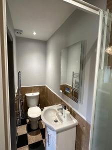 a bathroom with a toilet and a sink and a mirror at Chambres d'hôtes du Vigeant in Le Vigeant