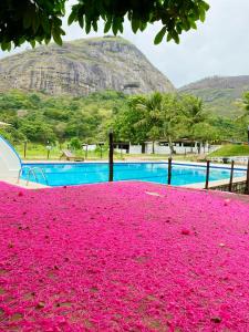 a pool covered in pink flowers with a mountain in the background at FLAT 234 Hotel Pedra Rodeadouro in Bonito