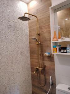a shower in a bathroom with a wall at Ellie's Home Staycation in Palapala