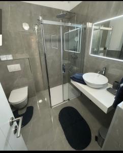 ein Bad mit einer Dusche, einem WC und einem Waschbecken in der Unterkunft Belavita in Bovec
