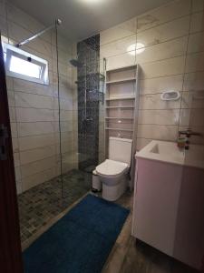 a bathroom with a shower and a toilet and a sink at Casa la Grenadine in Esmoriz
