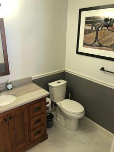 a bathroom with a toilet and a sink at Entire apartment close to downtown - 2 Queen beds in Springfield