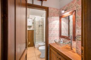 a bathroom with a sink and a toilet at Valtournenche, monolocale in centro in Valtournenche