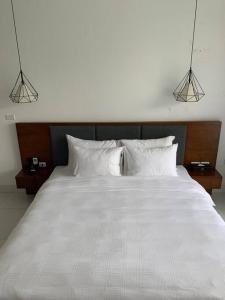 Hòa BìnhにあるIvory Mountain Villaのギャラリーの写真