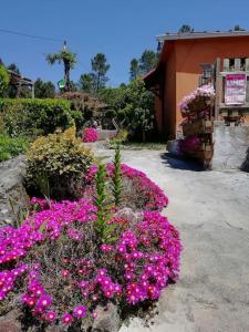 een bos roze bloemen voor een gebouw bij Casa Do Monte Mondim in Mondim de Basto