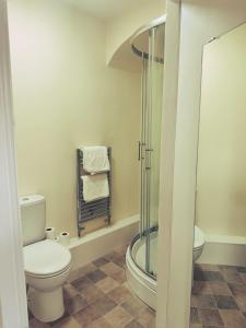 a bathroom with a toilet and a shower at Castle View, 96 Friar Lane in Nottingham