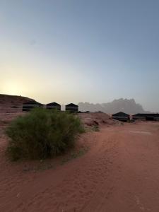 a dirt road in the middle of the desert at Star World Camp in Wadi Rum
