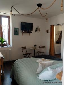 sypialnia z łóżkiem i telewizorem na ścianie w obiekcie Chambre d'hôte Au Jardin Le clos des vins d'Anges w mieście Saint-Pierre-des-Champs