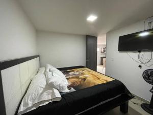 - une chambre avec un lit et une télévision murale dans l'établissement Amplio apartamento en el centro!, à Pereira