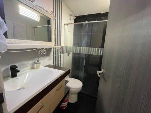 La salle de bains est pourvue d'un lavabo, de toilettes et d'un miroir. dans l'établissement Amplio apartamento en el centro!, à Pereira