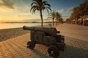 a statue of a cannon on a beach with palm trees at Agi Ferran 32 in Roses