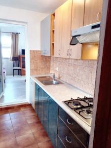 Kuchyň nebo kuchyňský kout v ubytování Comfortable Studio in Vir, Sea and Mountain View, 35m²