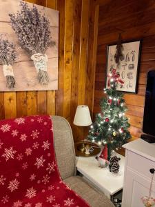 Billede fra billedgalleriet på Naše Chata U lesa i Rynoltice