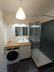 um banheiro com pia e máquina de lavar em Les vergers de Serris, 6 personnes, 2 PK privés, balcon, lit bébé em Serris