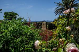 a garden with flowers and a palm tree in the background at - Vista Egadi - in Torre Nubia