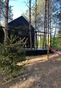 a black building in the woods with a tree at Domek SzumiSosna2 in Życiny