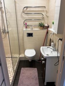 Vonios kambarys apgyvendinimo įstaigoje Likos apartamentai