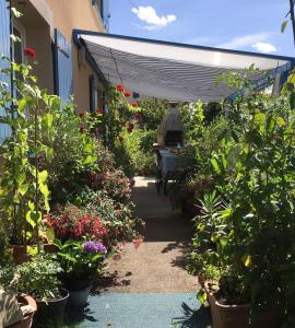 einen Garten mit Pflanzen und Blumen in der Unterkunft La Mésange bleue in Saint-Barthélemy