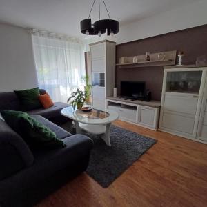 TV a/nebo společenská místnost v ubytování Apartman West Side