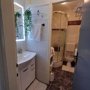 een badkamer met een wastafel, een douche en een toilet bij Apartman West Side in Zaprešić