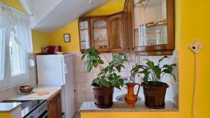 a kitchen with two potted plants on a counter at Ana in Gradina