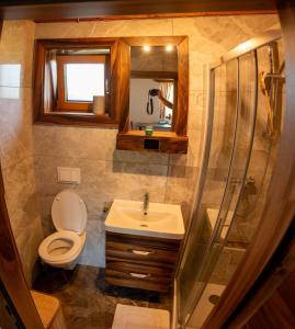 een badkamer met een toilet, een wastafel en een douche bij Vinotoč pri Jožici in Škocjan