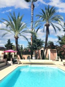 une piscine avec des palmiers en arrière-plan dans l'établissement Villa de 4 chambres avec piscine privee jardin clos et wifi a Villeneuve Loubet, à Villeneuve-Loubet