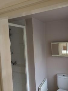 a bathroom with a toilet and a shower at Canal Walk - Chichester City Centre Apartment in Chichester