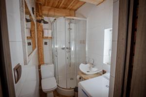 a bathroom with a shower and a toilet and a sink at Domek Wiejski w Skarlance in Zbiczno