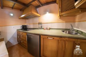 a kitchen with a sink and a counter top at Casa de la Mezquita y Casa de Carretas MeninasCollection in Toledo