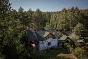 an aerial view of a house in the woods at Domek Wiejski w Skarlance in Zbiczno