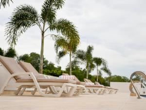 uma fila de espreguiçadeiras numa piscina com palmeiras em Ciela Hotel & Beach Club em Coveñas