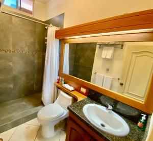 La salle de bains est pourvue de toilettes, d'un lavabo et d'un miroir. dans l'établissement Torre Mar Galapagos Boutique Suites, à Puerto Ayora