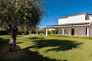 a white house with a tree in the yard at Villa Solià - Villa indipendente con Piscina e Giardino in Campofelice di Roccella