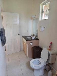 a bathroom with a white toilet and a sink at Posh Homes Getaway in Christ Church