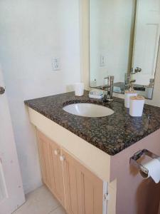 a bathroom counter with a sink and a mirror at Posh Homes Getaway in Christ Church