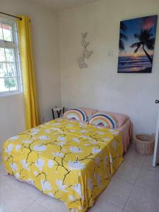 a bedroom with a bed with a yellow comforter at Posh Homes Getaway in Christ Church